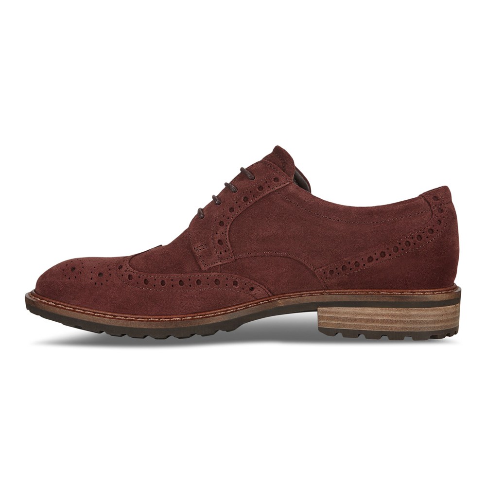 Zapatos De Vestir Hombre - ECCO Vitrus I Wing Tip Tie - Marrom - ONG130729